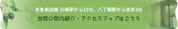 京急南武線 川崎駅から12分、八丁畷駅から徒歩3分 当院の院内紹介・アクセスマップはこちら
