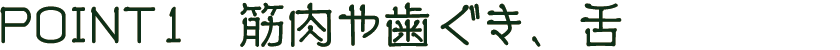 POINT1　筋肉や歯ぐき、舌